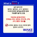 웨이크업바디(wake up body) 네이버블로그