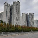 장기상가 버스정류장주변 이미지