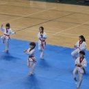 용인대석사청무태권도 이미지