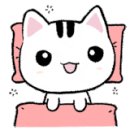 문구방구 춘천장학점 이미지