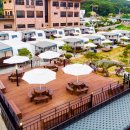 쥬라기카라반 이미지