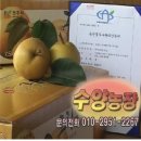 장미자농장 중앙일보