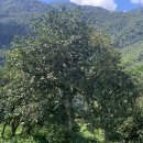 (주)단주 이미지