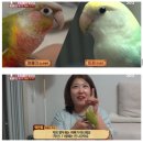 학계농장 이미지