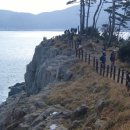 장승포항(지심도 도선) 이미지