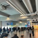 762 | 부다페스트에서 선전까지 하이난항공 HU762 탑승 후기 좌석 및 기내식