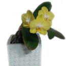 삼익공인중개사사무소 이미지