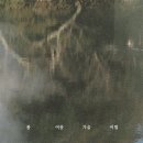 정준일 콘서트 이미지