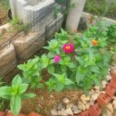 석구농장 이미지