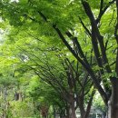 좌동산책길 이미지