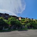 포레스트리솜 이미지