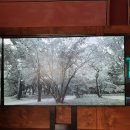 궁궐 그림으로 노닐다 | 덕수궁 프로젝트 2021:상상의 정원