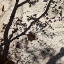 천축사 마애사리탑 이미지