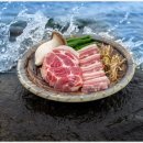 바다를 품은 돼지 이미지