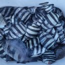 약산면-3 이미지