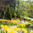 (주)디자인허브코리아 이미지