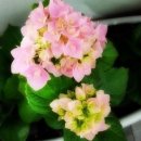 보광동주민센터 5층 강당 이미지