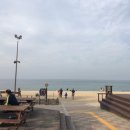 진또배기 초당순두부 네이버블로그