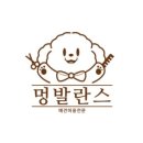 멍발란스 네이버블로그
