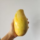 쵸우