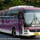 삼흥차량 이미지