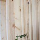 화이트세탁 이미지