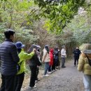 동백동산 이미지