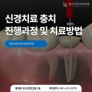 영도조은치과의원 네이버블로그