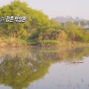 봄향기 이미지