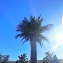 왕궁가든 이미지