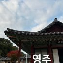 영주순흥민박 | 영주 아이랑 가볼만한곳 우리나라 최초의 서원 소수서원 입장료 및 후기