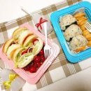 피크닉 도시락 이미지