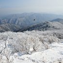 2017.12.30(토)/계방산(강원 홍천)/송골매 이미지