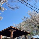 산격종합시장 | 대구 북구 365한의원 ㅣ 무릎 통증 있을 때, 다이어트 약 처방