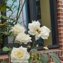 삼아아파트경로당 이미지