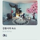 빅파인트리하우스 이미지