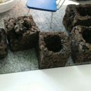 드림다육공방