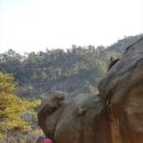 2월10(금)10시30분사당역4번출구 관악산코뿔소바위 이미지