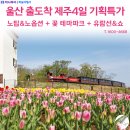 동산항공여행사
