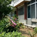 남중동-65 이미지