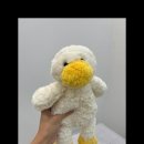 니어앤디어 이미지