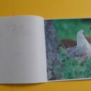 아빠와 그림책 놀이 이미지