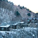 국립복주산자연휴양림 이미지