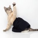 고양이샵 이미지