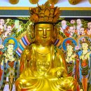 고금면사무소 이미지