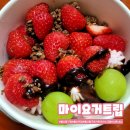 요거트아이스크림 울산맛집 마이요거트립 동구점 내돈내산 솔직후기