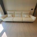 포커스디자인