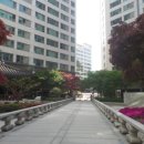 광화문공인중개사사무소 이미지