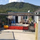 1까치공인중개사사무소 이미지