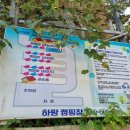 하랑캠핑장 | 강화도 하랑캠핑장 2박 3일 후기!(+카즈미 비바돔 샌드)